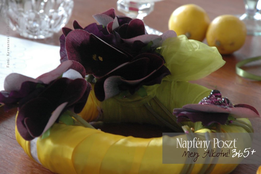 nyito citromkopogtato02