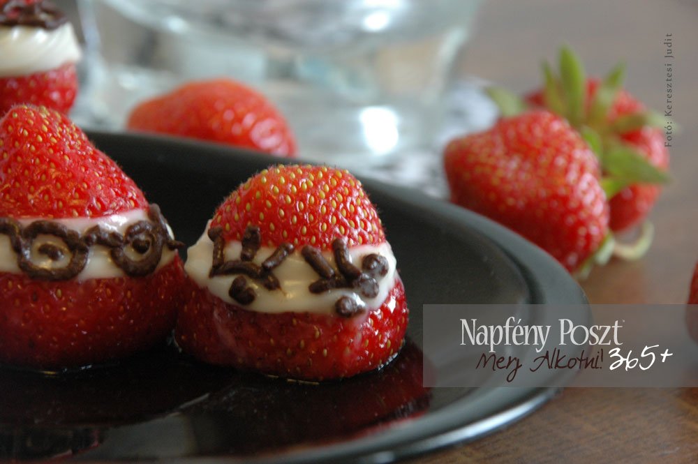 eperprofesszor nyito2