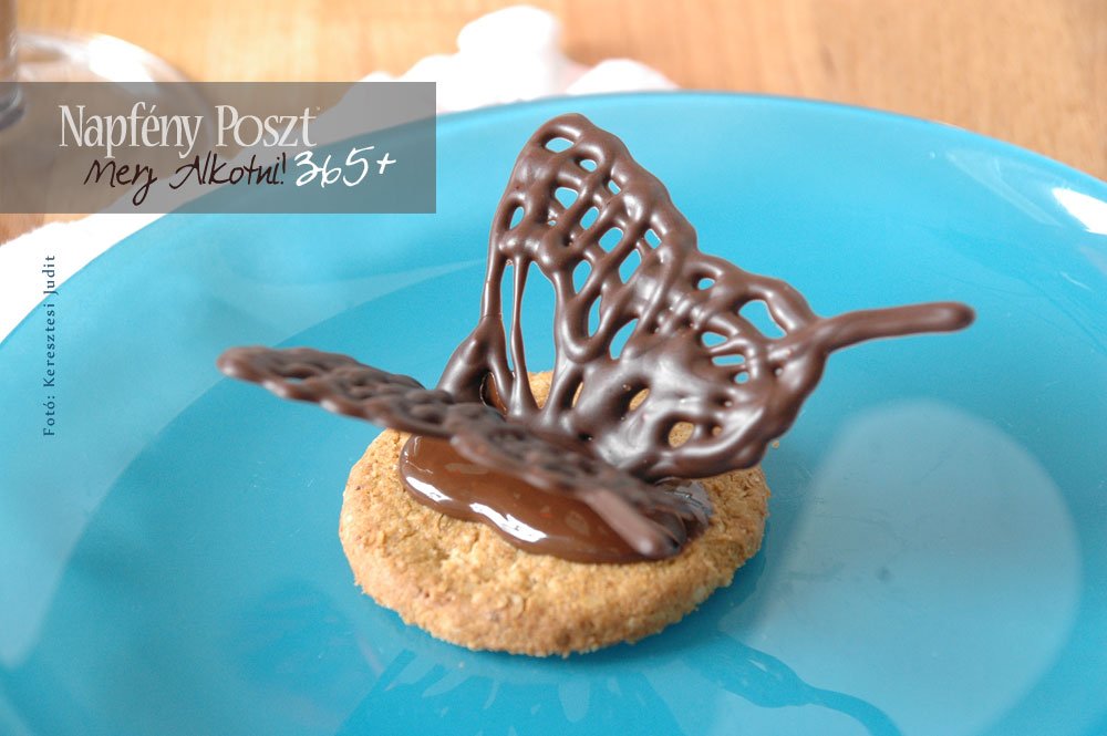 csokipillango nyito02