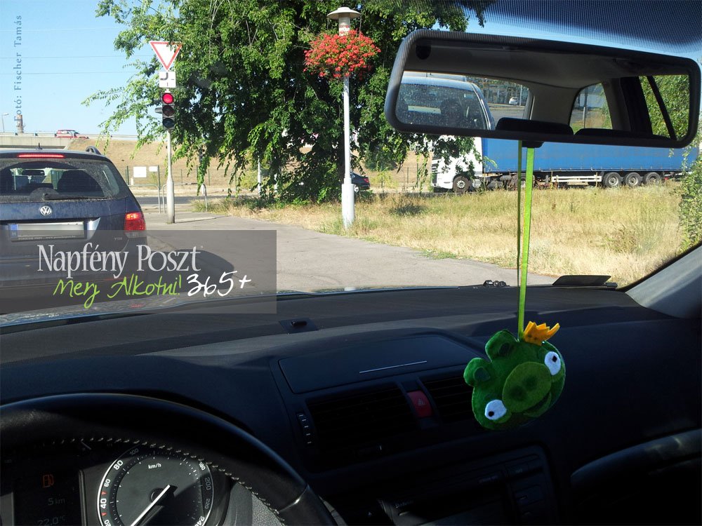 levendulas pig nyito03