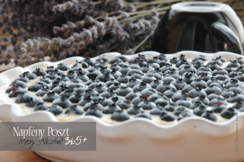 afonyas pite nyito01