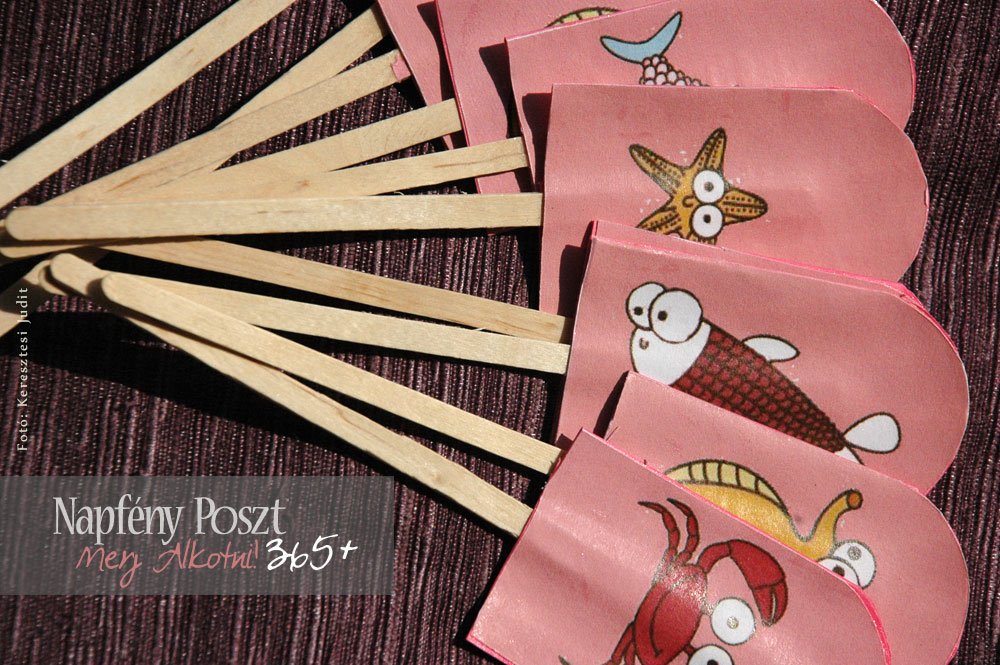 memoria fagyi nyito01