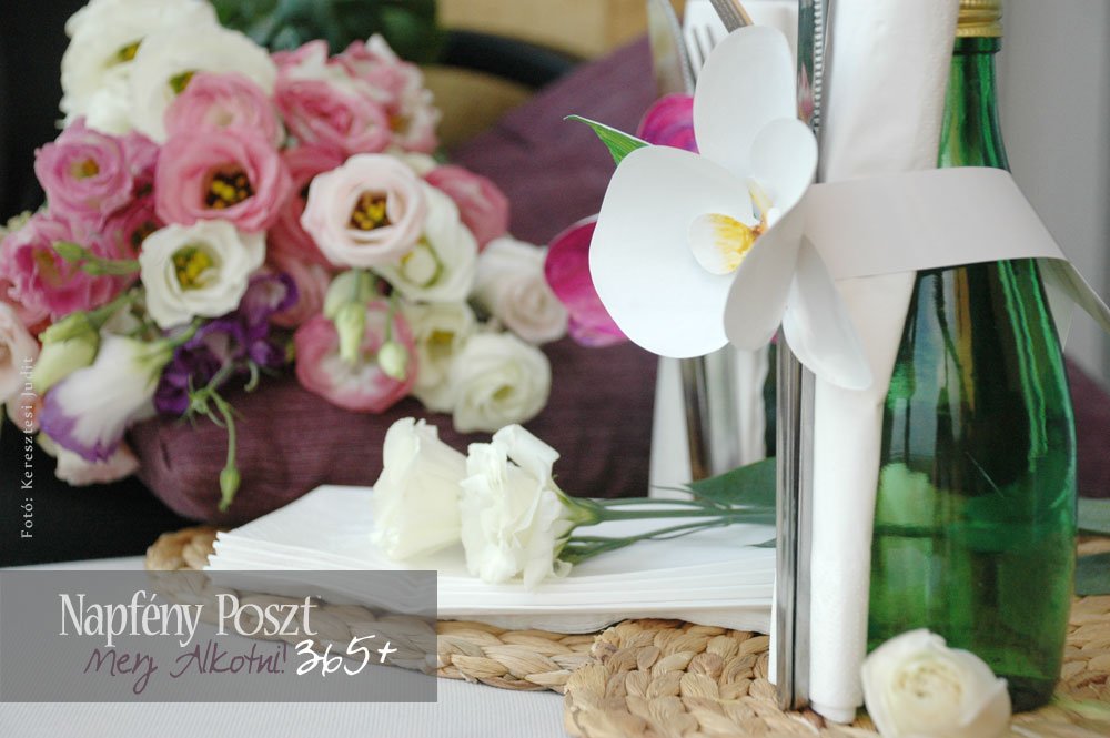 orchidea gyuru nyito01