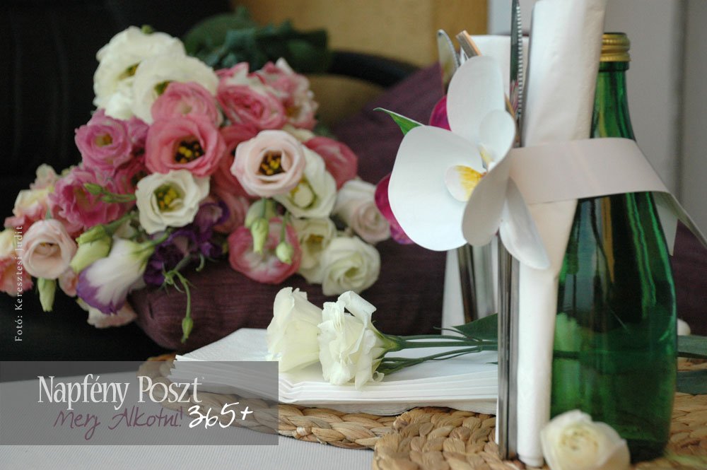 orchidea gyuru nyito02