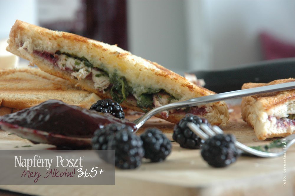 spenot szeder szendvics nyito01