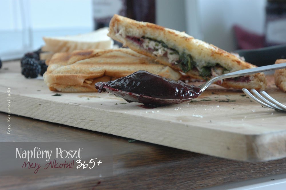 spenot szeder szendvics nyito02