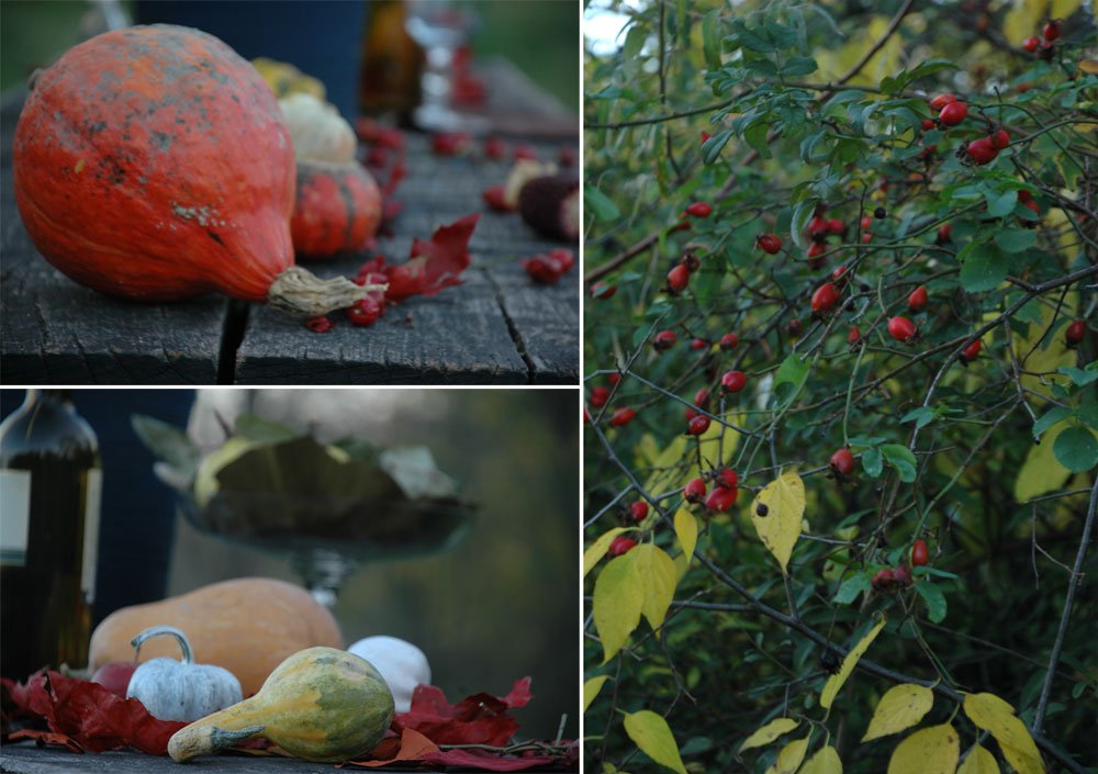 erdo asztalkozep 051