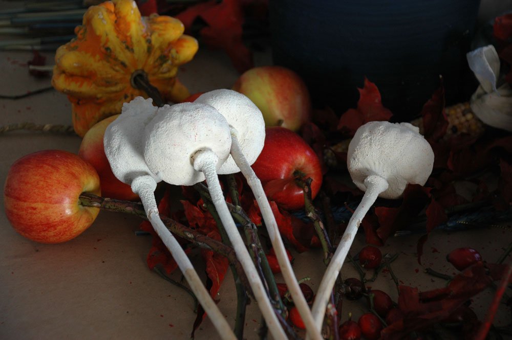 erdo asztalkozep hozzavalok