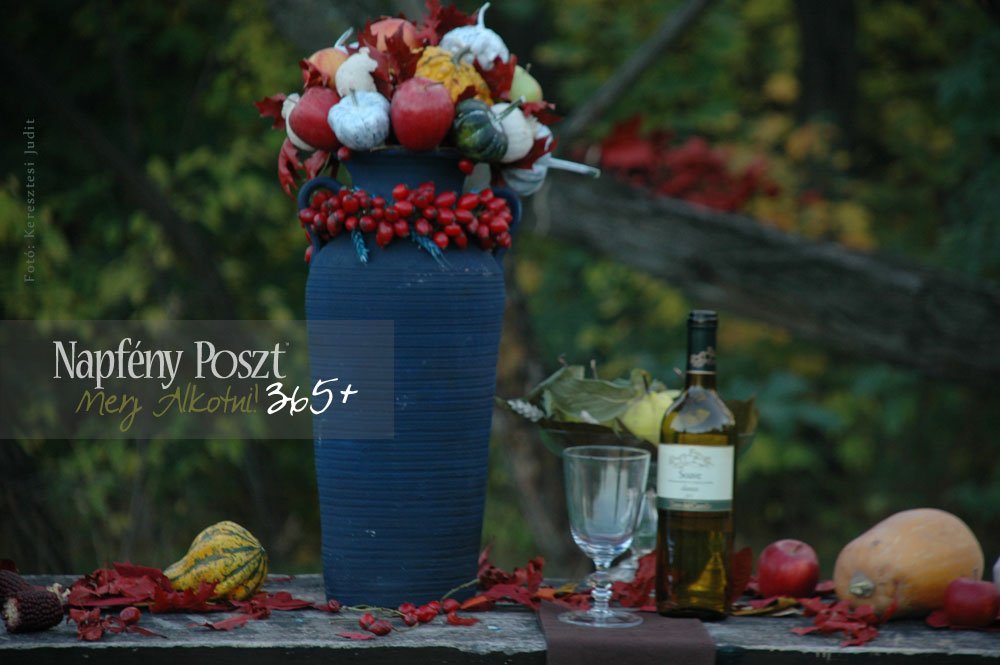 erdo asztalkozep nyito03