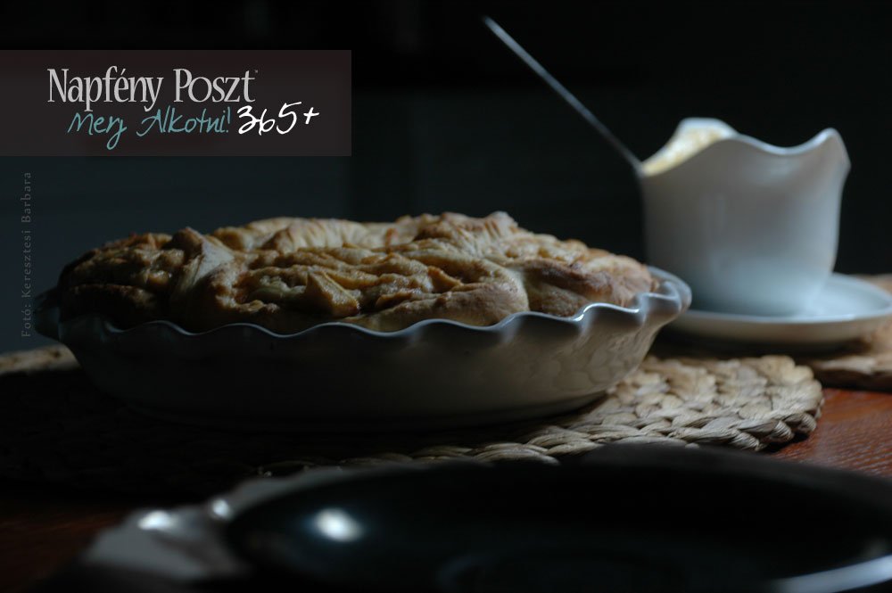 fahejas csiga nyito03