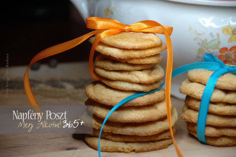 sutotok taller nyito01