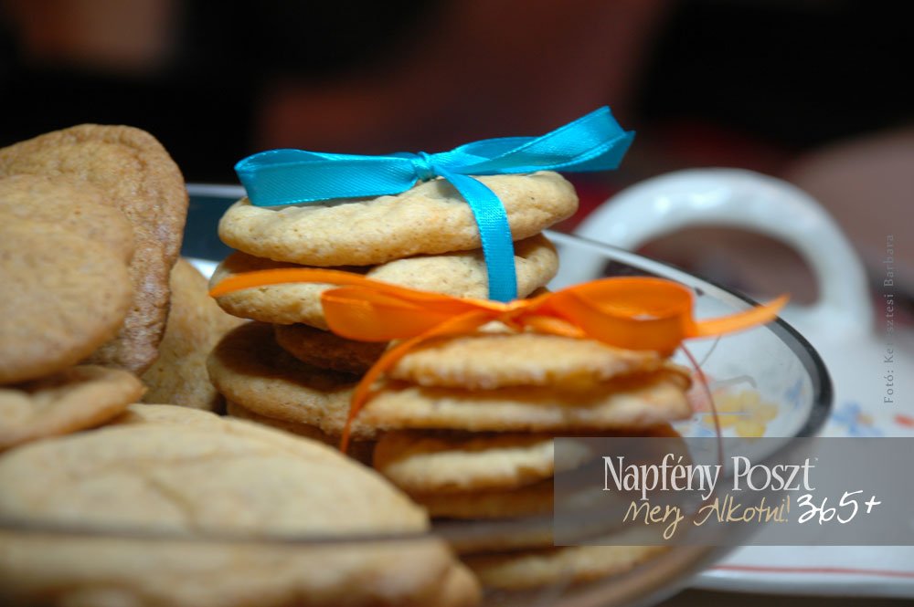 sutotok taller nyito02