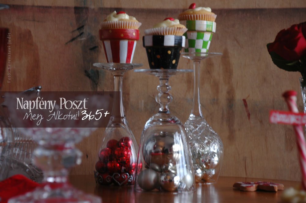 csikos cserepek nyito08