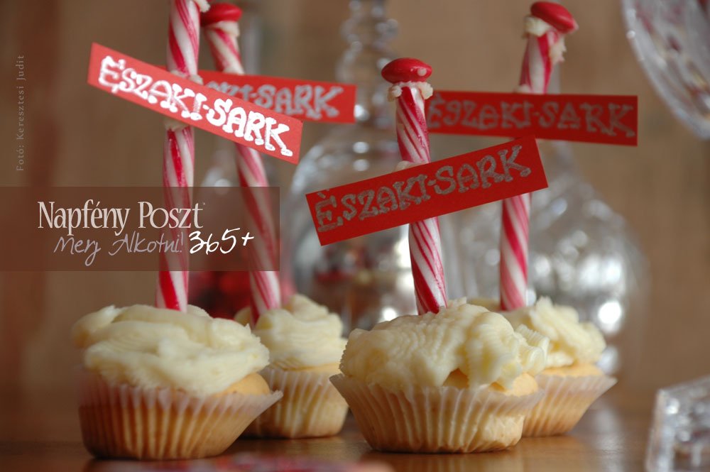 eszakisark cupcake nyito01