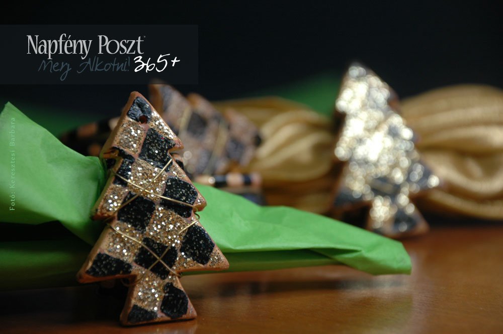 fenyofa szalvetagyuru nyito02