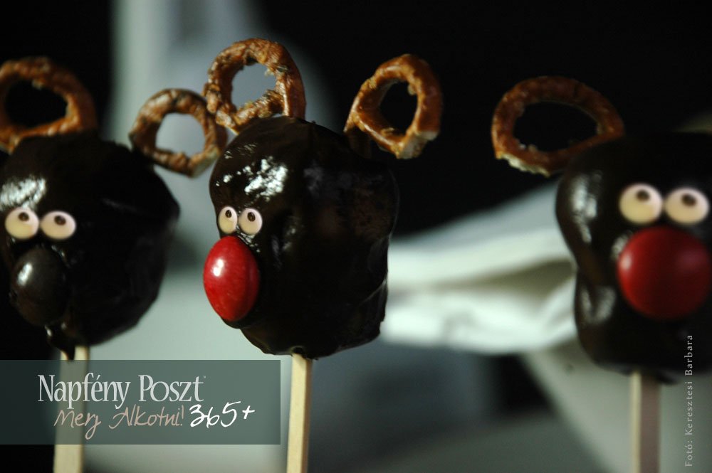 renszarvas palcikan nyito03