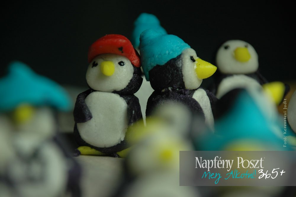 pingvinek2 nyito02