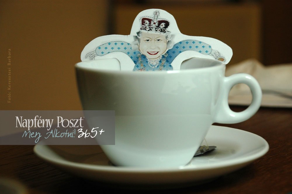 teafilter vicces nyito01