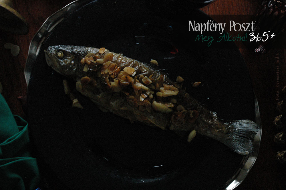 mandulas hal nyito02