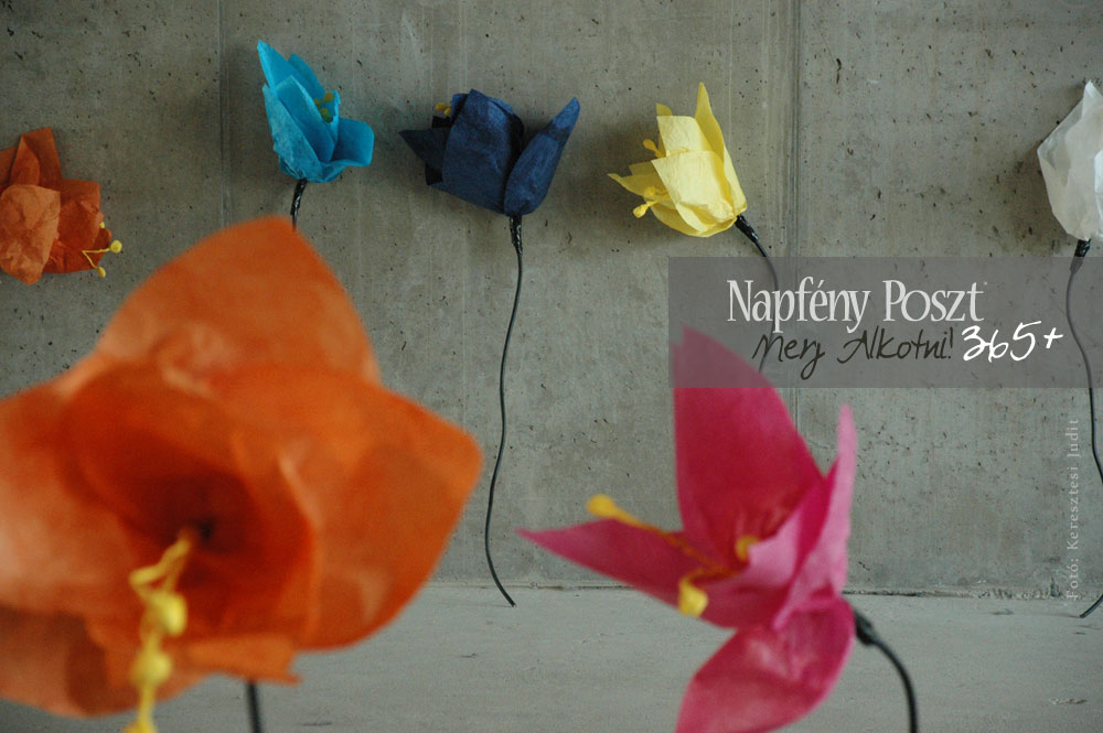 orias viragok nyito02