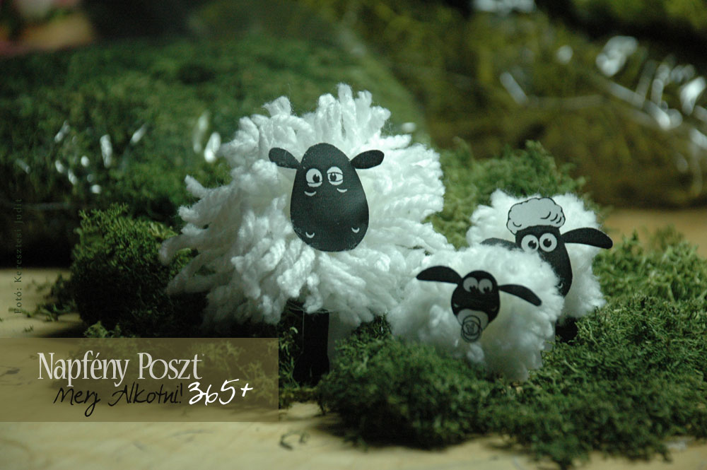 pomponbaranyok nyito01