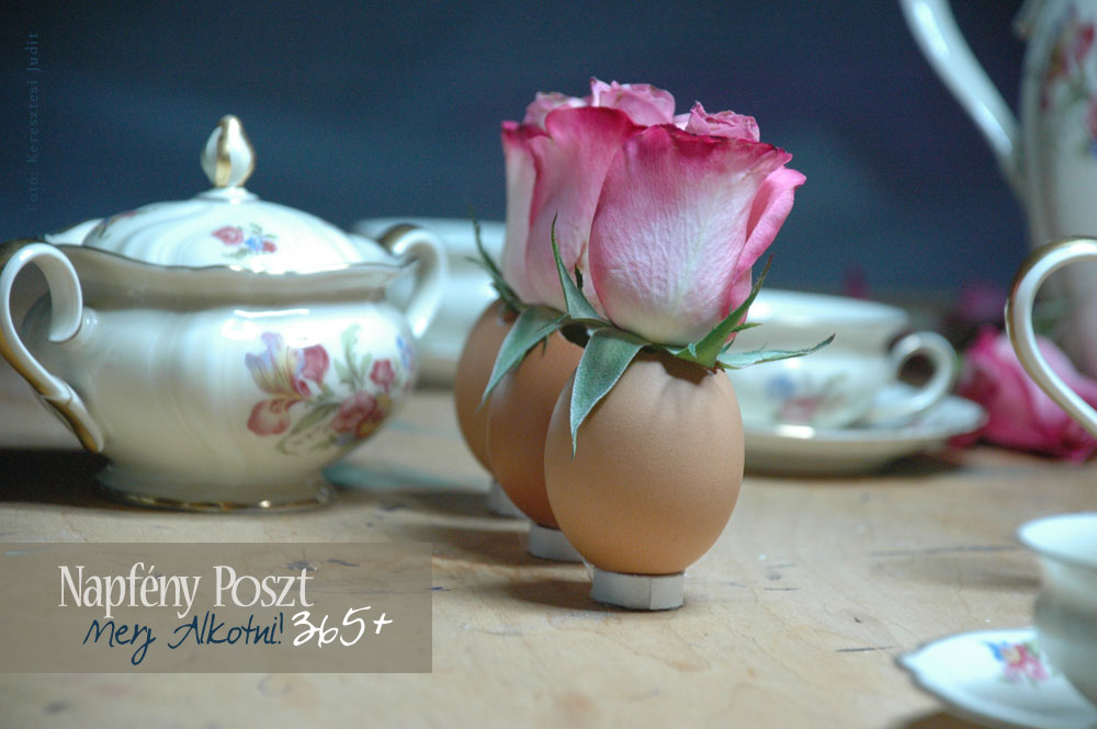 rozsak tojashejban nyito01