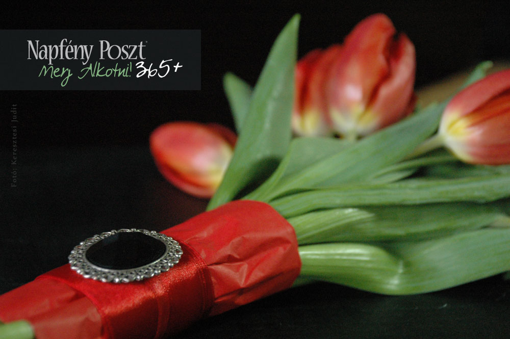 tulipan es bross nyito02