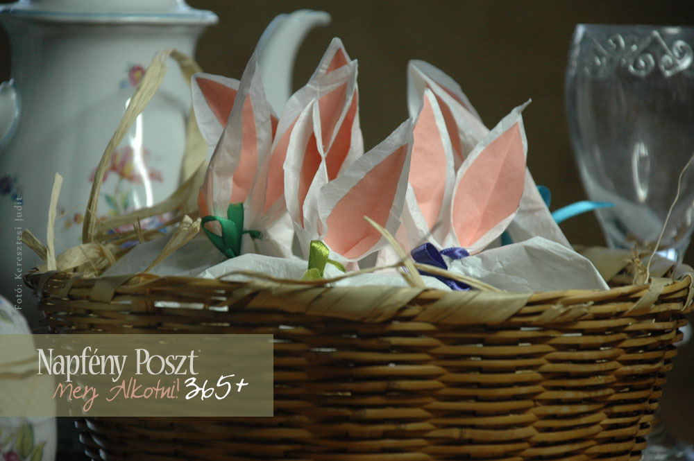 nyuszicsomag nyito01