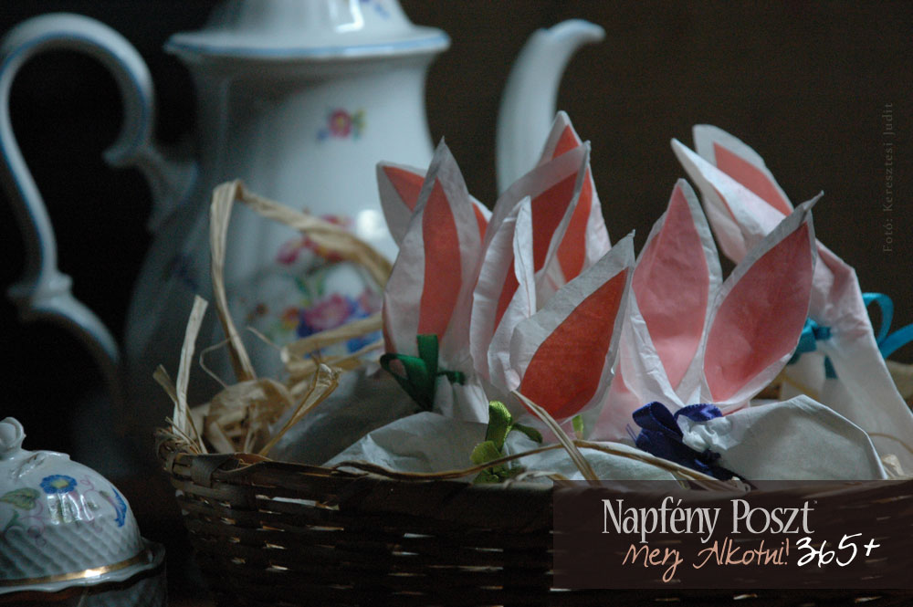 nyuszicsomag nyito02