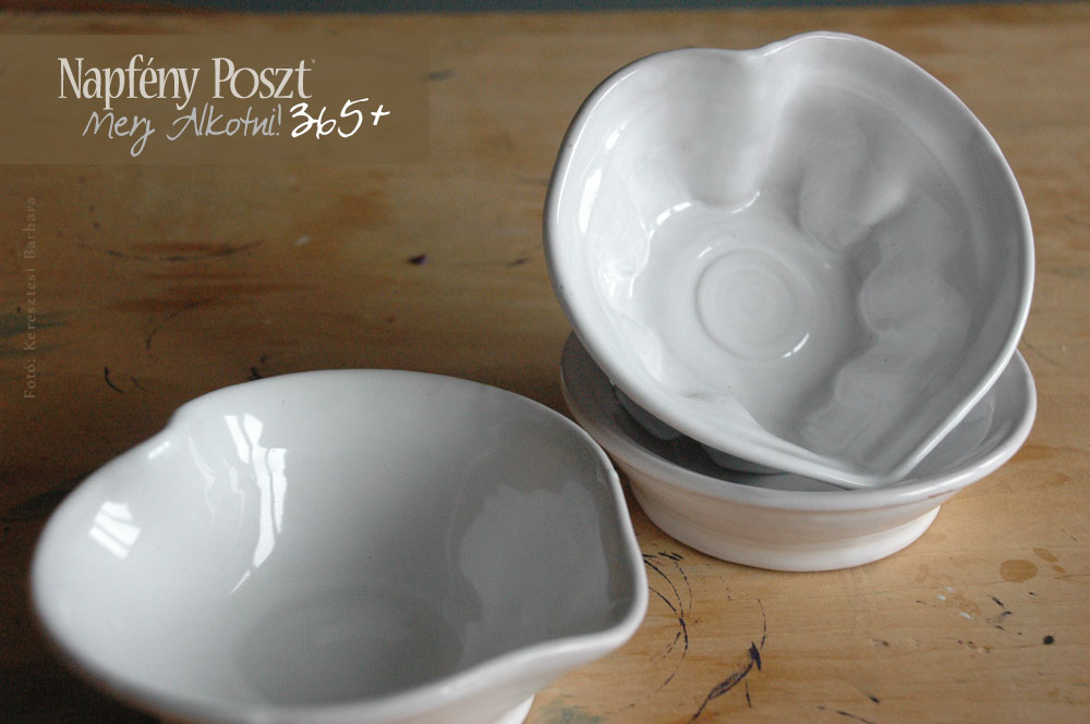 szivalakutal nyito01