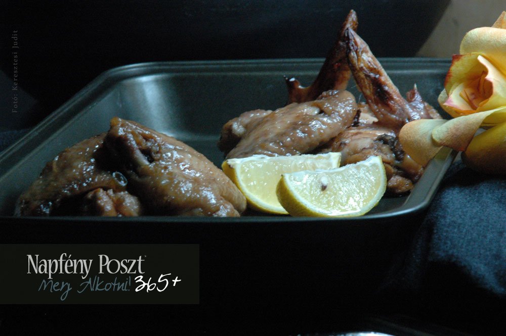 pikans szarnyak nyito02