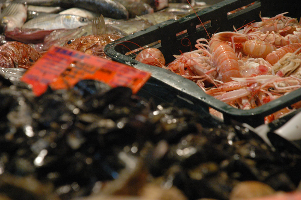 paradicsomosrak rijeka 03