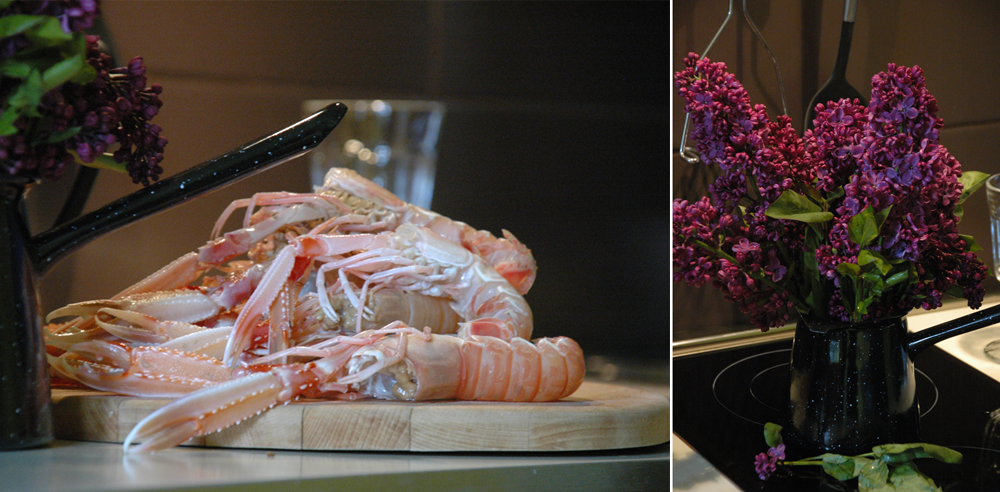 paradicsomosrak rijeka 05