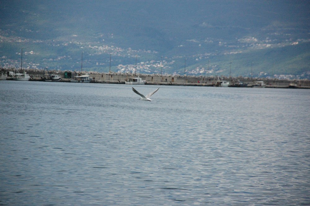 rijeka nyito03
