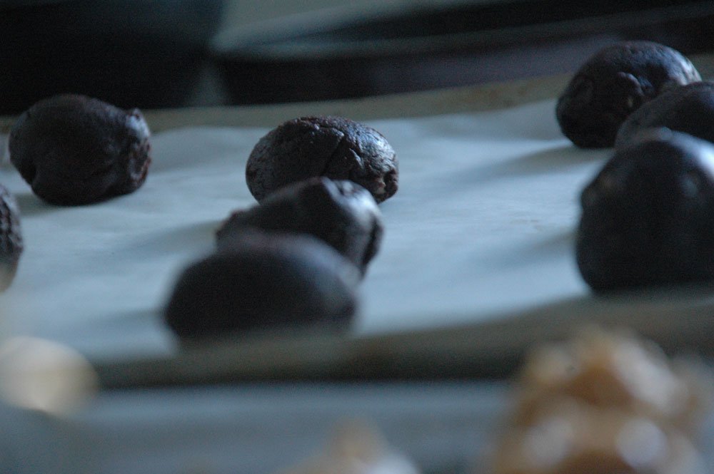 mogyorovajas keksz031