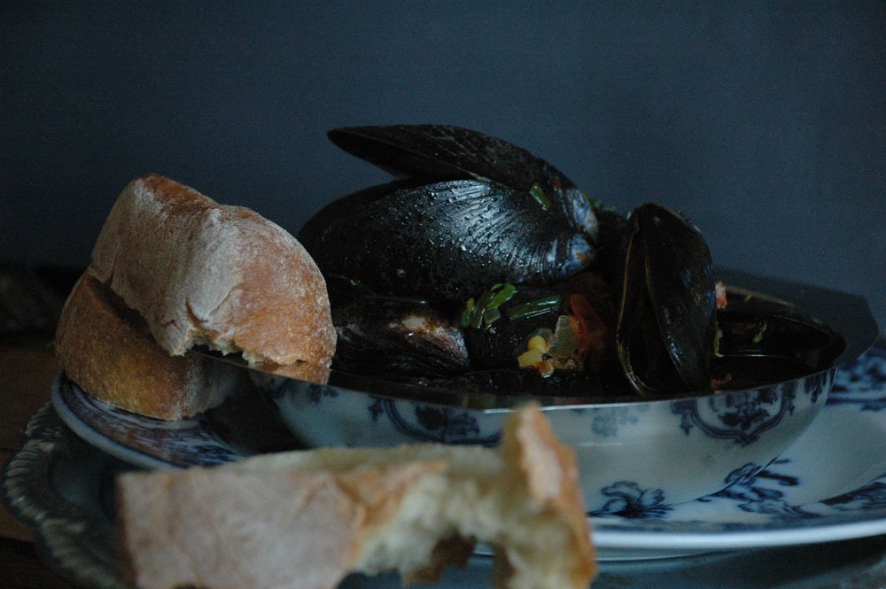 kagylohongrois nyito03