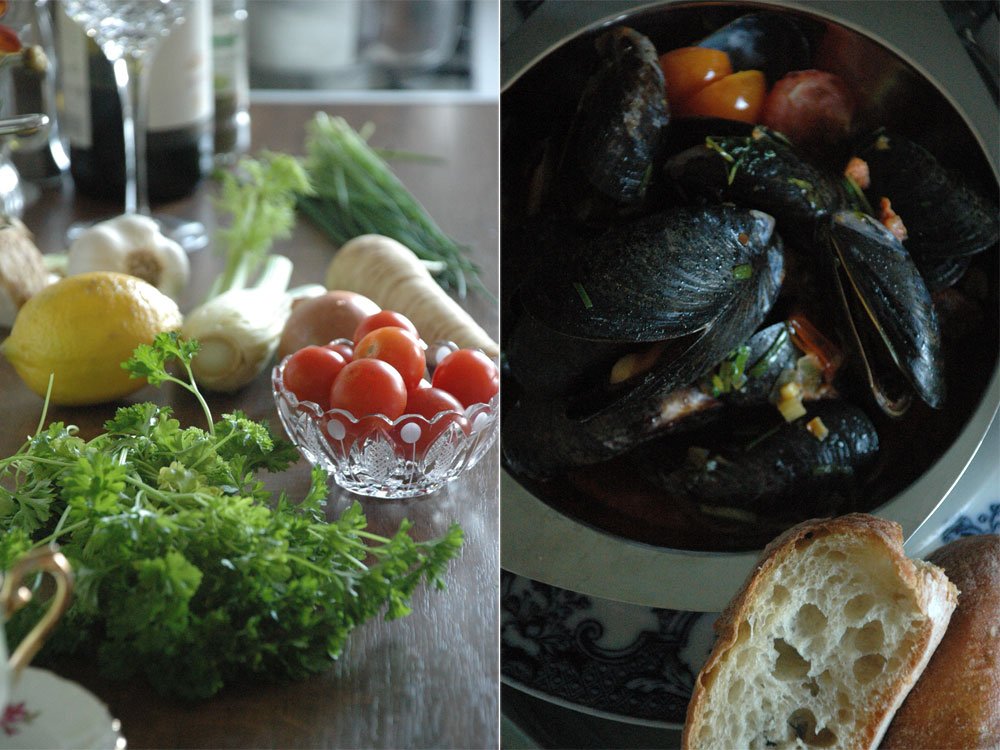 kagylohongrois nyito04